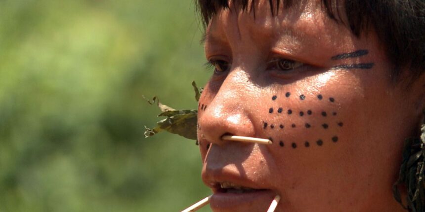 Força-tarefa inutiliza 272 acampamentos de garimpo na Terra Yanomami