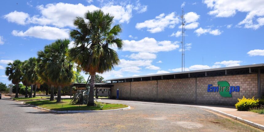 Justiça determina que MST desocupe fazenda da Embrapa em Pernambuco