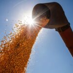 Produção de grãos deve ter alta de 15% na temporada 2022/23