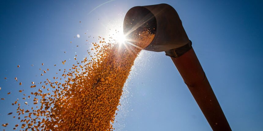 Produção de grãos deve ter alta de 15% na temporada 2022/23