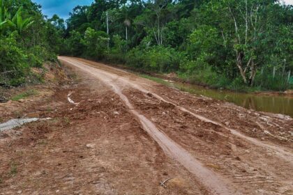 Desmatamento na Amazônia cai em setembro, aponta o Inpe