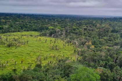 Entenda o que é e para que serve o mercado de carbono