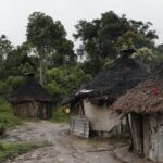 Representantes da corte interamericana visitarão TI Yanomami