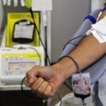 Dia Nacional do Doador de Sangue celebra gesto capaz de salvar vidas