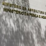 Força-tarefa apreende mais de 6 mil garrafas de azeite falsificado