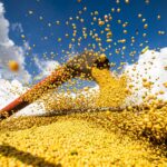 Safra de grãos 2023/2024 é estimada em 316,7 milhões de toneladas
