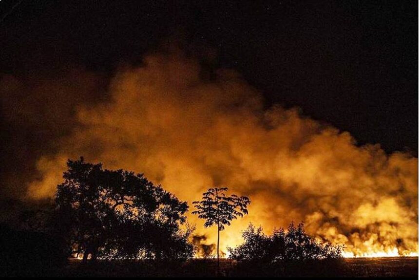 Seca e queimadas no Cerrado em pleno novembro