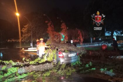 Árvore cai sobre um carro na Asa Norte