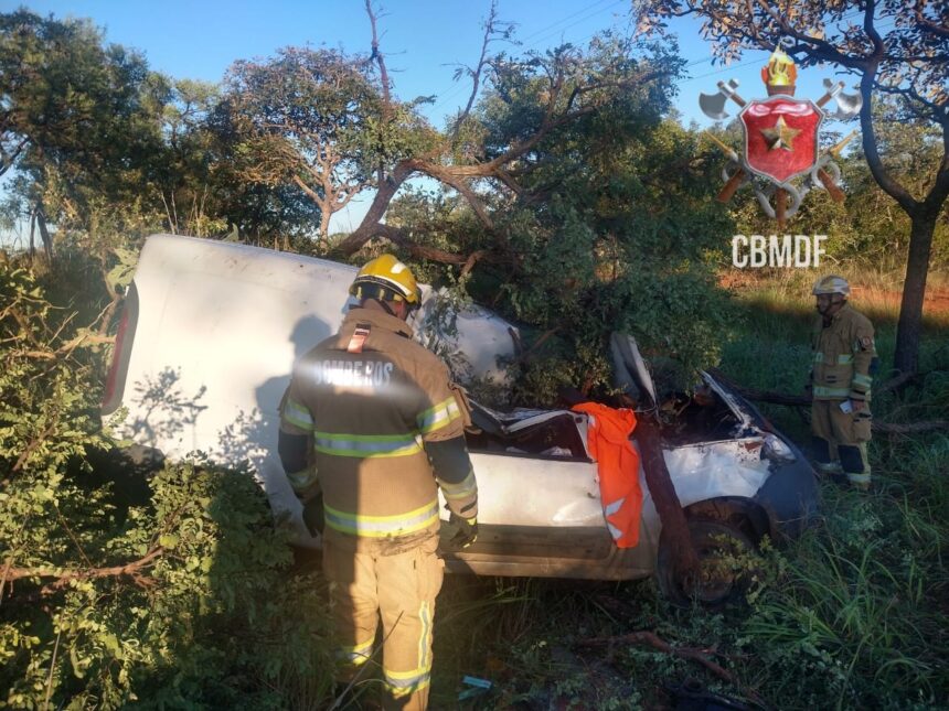 Homem morre em acidente após bater em capivara