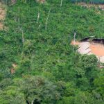 Desmatamento em áreas protegidas da Amazônia cai 73% em 2023