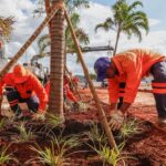 Sol Nascente/Pôr do Sol recebe projeto de arborização com mudas do Cerrado