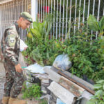 Ação de combate à dengue faz vistoria em residências do PSul, em Ceilândia