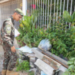 Combate à dengue faz vistoria em residências em Ceilândia