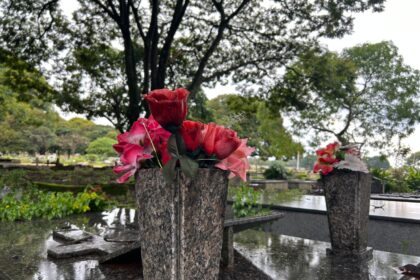 Dengue: GDF proíbe flores e vasos nos cemitérios