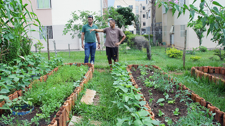 Horta comunitária do Paranoá Parque recebe apoio do GDF