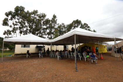 Voluntários podem atuar no combate à dengue