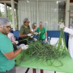 Mutirão da Saúde produz repelente caseiro contra a dengue