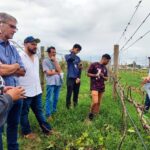 Visita técnica qualifica produtores e trabalhadores rurais no manejo de uva para vinhos finos