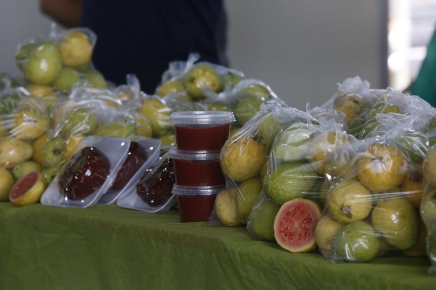 Feira da Goiaba começa nesta sexta (5) em Brazlândia