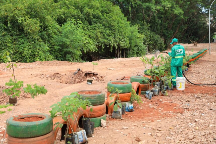 Projeto De Cara Nova entrega área recuperada no Itapoã