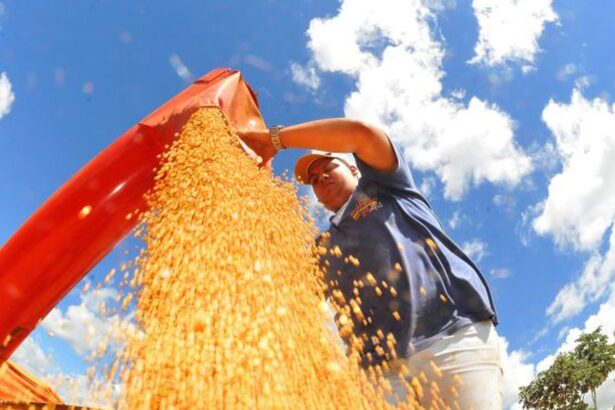 Crédito do BNDES para Plano Safra se aproxima de R$ 30 bilhões