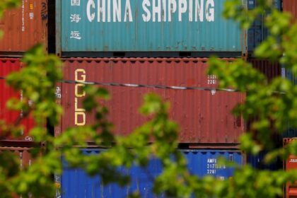 Brasil aumenta exportação de soja para a China, ocupando lugar dos EUA