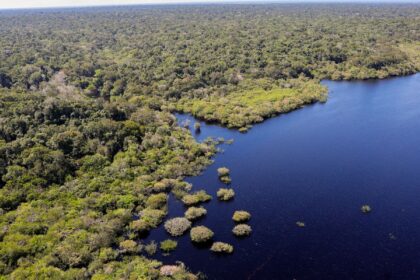 COP30: quarto leilão do Eco Invest terá foco exclusivo na Amazônia