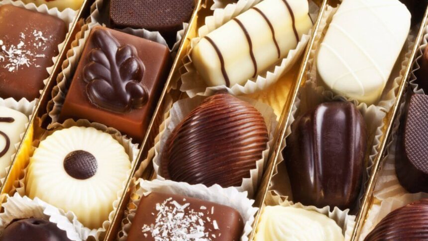 o que é, características e melhores marcas