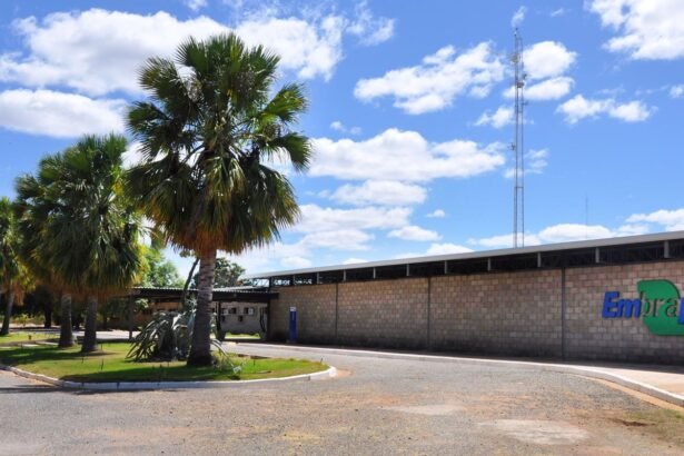 Aplicativo gratuito da Embrapa ajuda a planejar barragens no semiárido