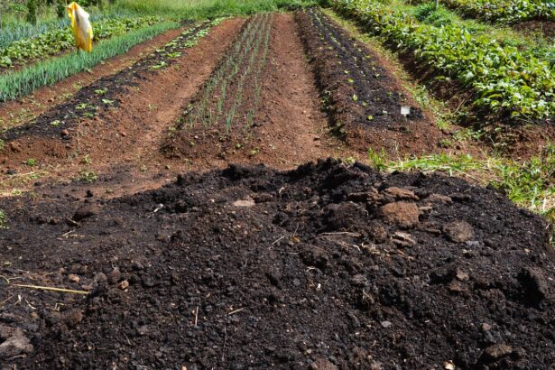CMN amplia socorro a produtores afetados pelo clima