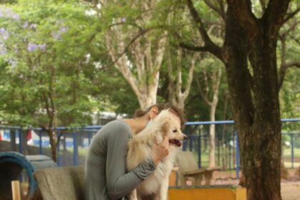 Cade aprova fusão entre Petz e Cobasi com restrições