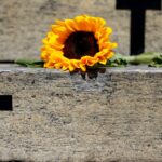 Crimes recentes mostram grave cenário de violência contra a mulher