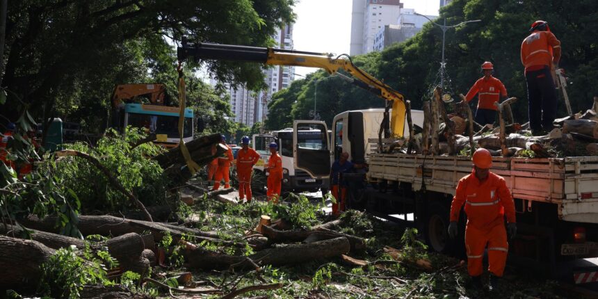 Dois dias após ciclone, SP ainda tem 800 mil moradores sem energia
