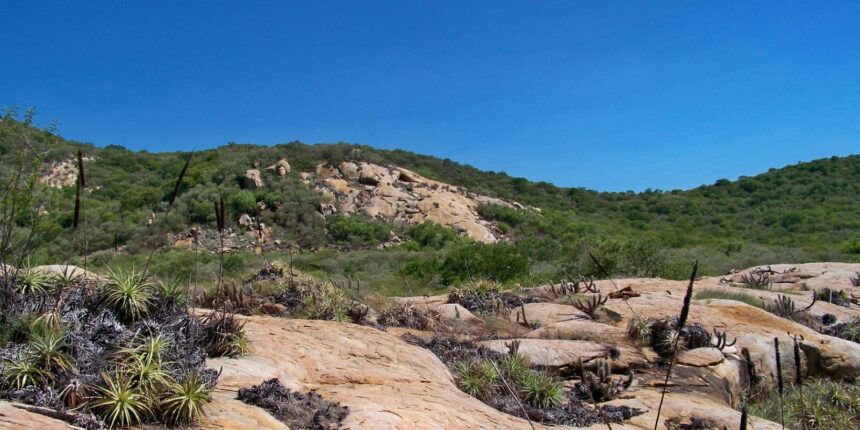 Geoparque Seridó é tema do Caminhos da Reportagem desta segunda