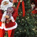 Hoje é Dia: Natal, ecologia e Cristina Buarque são destaques