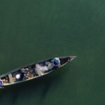 Pescadores profissionais têm até dia 31 para comprovar atividade