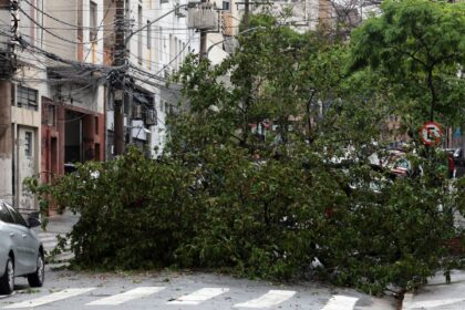 Prefeitura fecha todos os parques de São Paulo por causa dos ventos