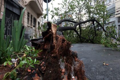 São Paulo enfrenta ventos de quase 100 km/h nesta quarta-feira