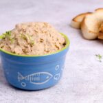 Receitas rápidas com 1 lata de atum são práticas e ideais para o dia a dia