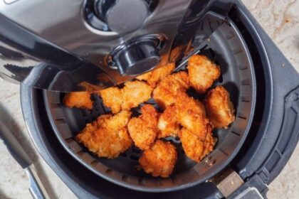 Como limpar airfryer