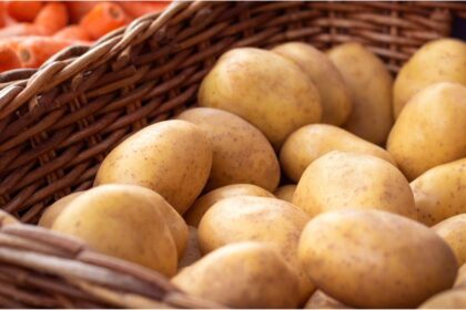 Imagem de uma cesta de batatas