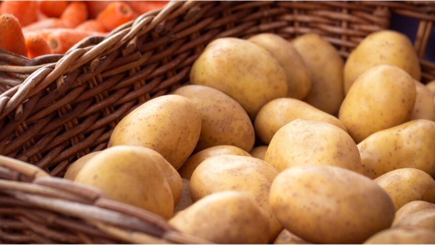 Imagem de uma cesta de batatas