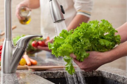 Pessoas lavando folhas na pia