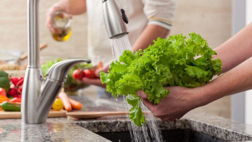 Pessoas lavando folhas na pia