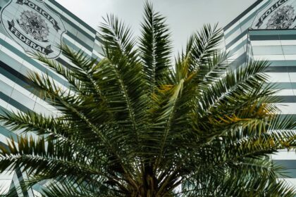 PF adia depoimentos de três investigados no inquérito do Banco Master