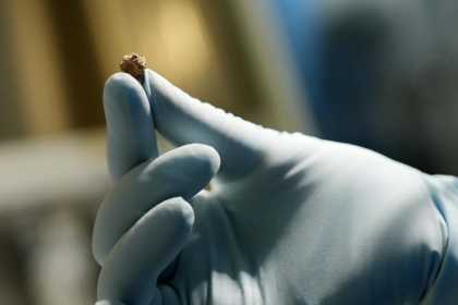 Restos do queijo mais antigo do mundo foram encontrados em um túmulo de 3.600 anos na Bacia de Tarim, na China