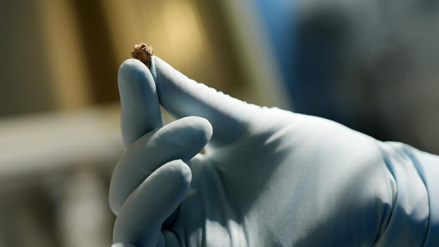 Restos do queijo mais antigo do mundo foram encontrados em um túmulo de 3.600 anos na Bacia de Tarim, na China