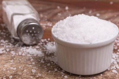 Imagem de um saleiro e um ramekin com sal