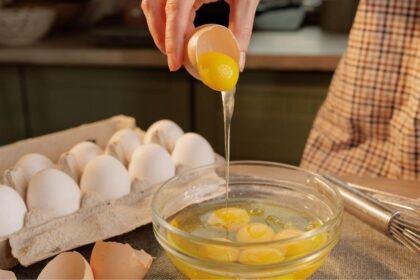 Fotografia que desataque o ovo