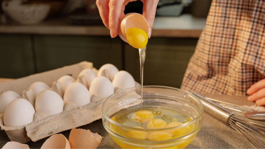 Fotografia que desataque o ovo